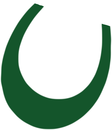 verde copy.jpg