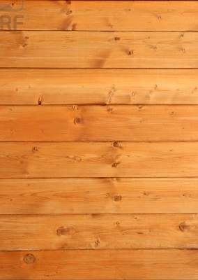 750047.jpg
