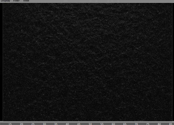 Immagine 7.png