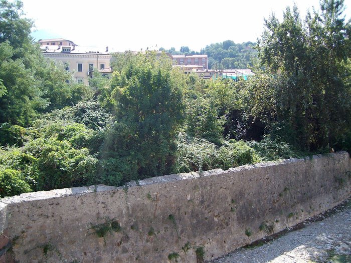 Alberi.jpg