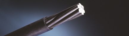 trefolo viplato 1.jpg