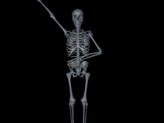 scheletro.png