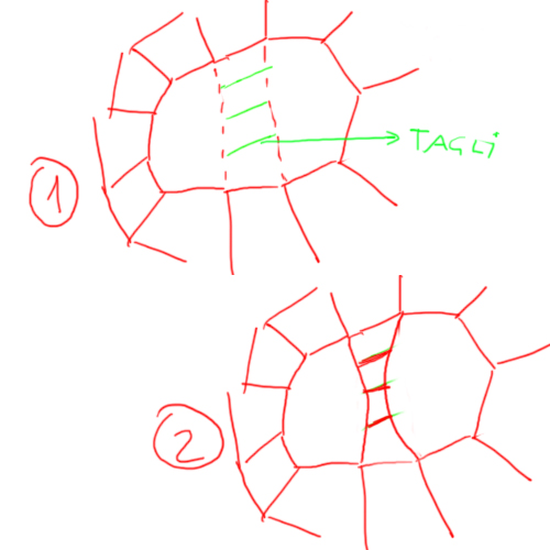 tagli.jpg