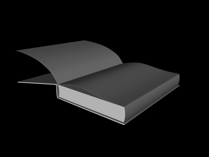 libro2.jpg