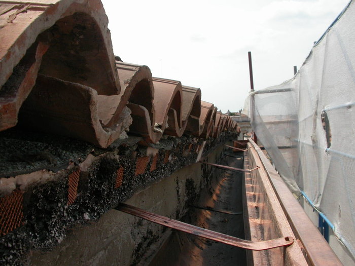 DSCN0879.JPG