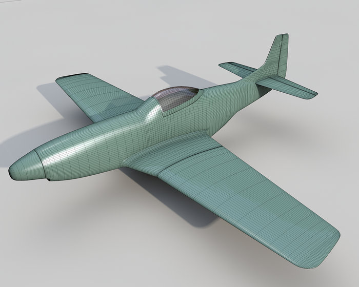 p51_1.jpg