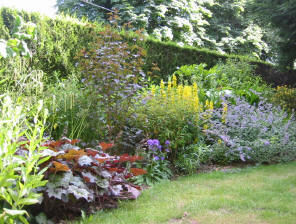 wild_garden_3_sm.jpg