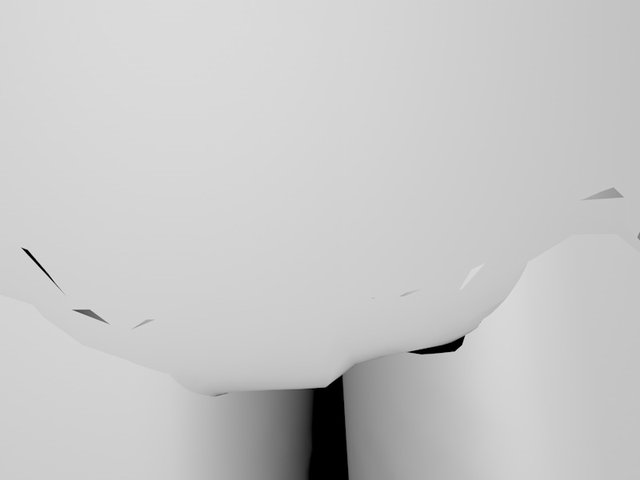 imm2.jpg