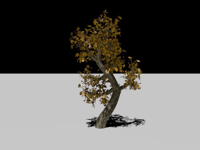 albero2.jpg