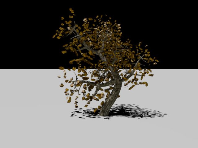albero3.jpg