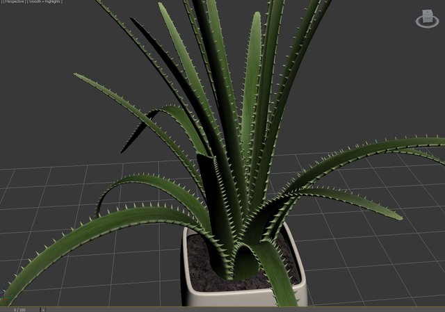 3DS MAX.JPG