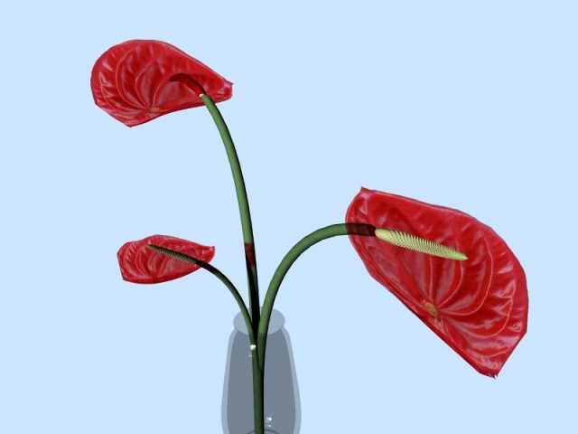 Fiore.jpg