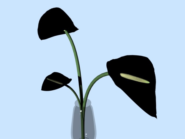 Fiore2.jpg
