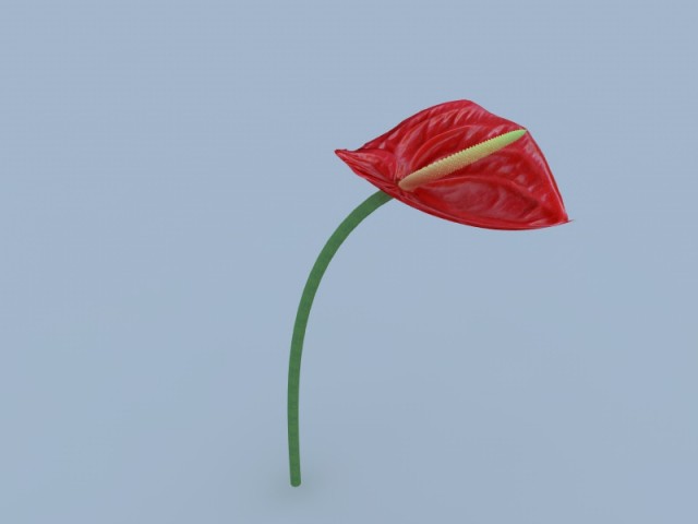 flamingo.jpg