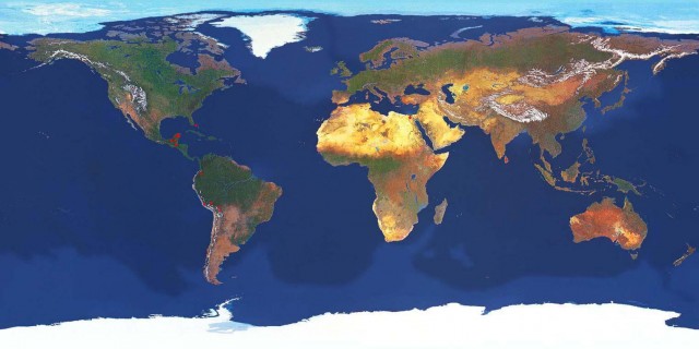 EarthMap.jpg
