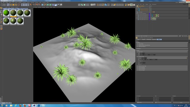Yucca-2.jpg