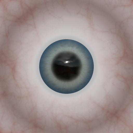 1174.jpg