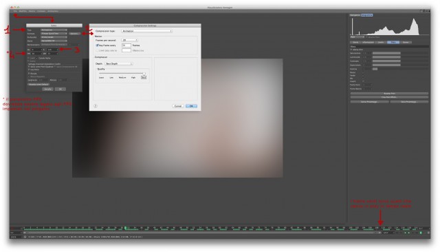 visualizzatore img.jpg