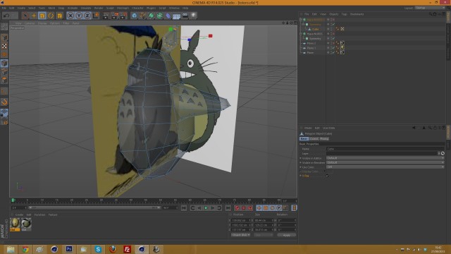 totoro1.jpg