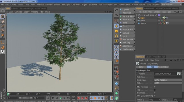 TREE1.jpg