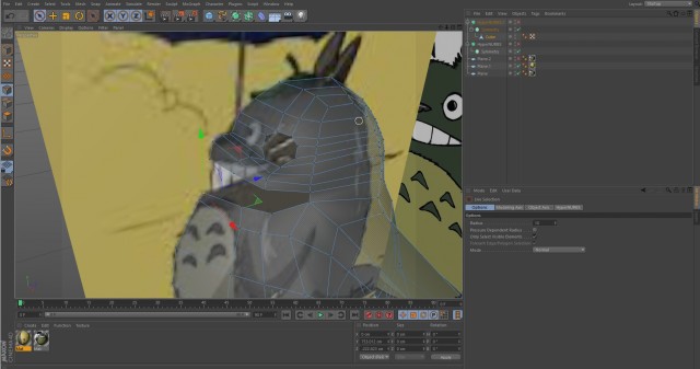 totoro1.jpg