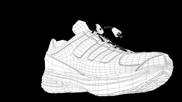Sports-Shoe_MaxRender_wire_no_hyper.jpg
