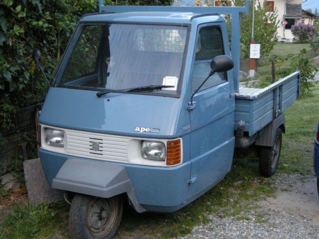 Ape_img_006.jpg
