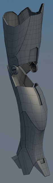gamba7_c.jpg