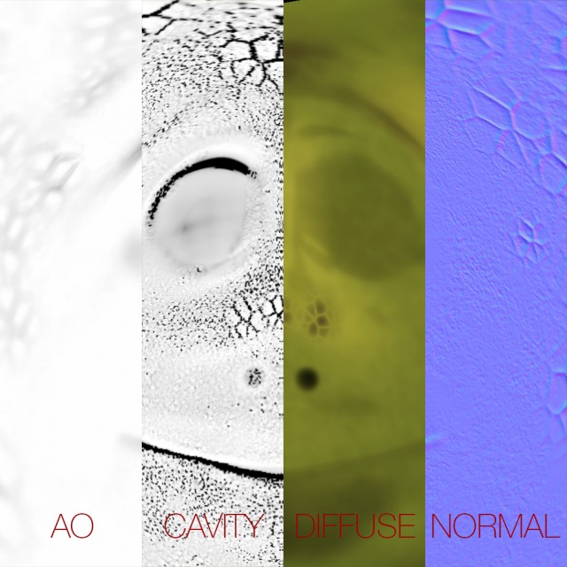 TEXTURE.jpg