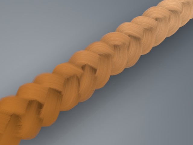 treccia5.jpg