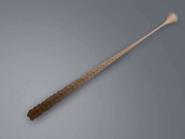 treccia6.jpg