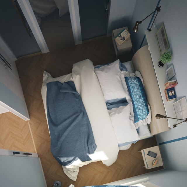 cameraalto1chipsl.jpg