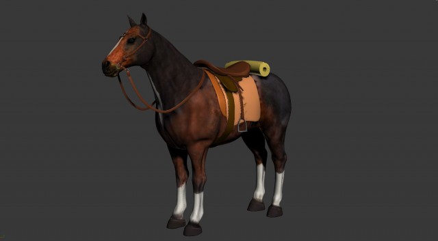 UP cavallo.JPG