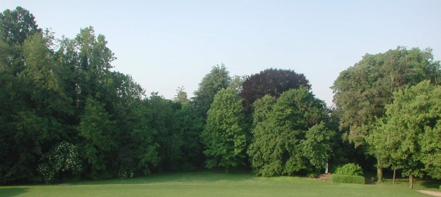 e-Parco.jpg