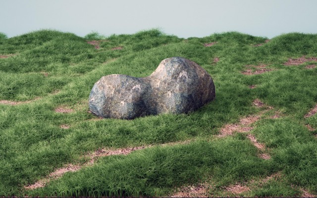 erba4.jpg