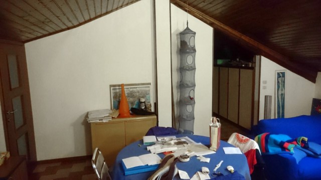 thumb_IMG_0035_1024.jpg