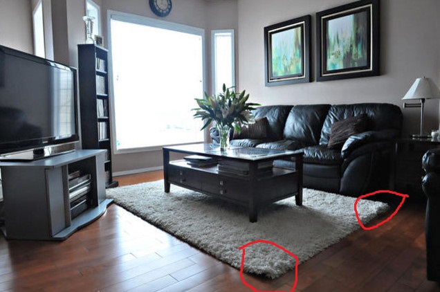 Surprising-Shag-Carpet-Rug-Decorating-Ideas-Images-in-Living-Room-design-ideas-.jpg