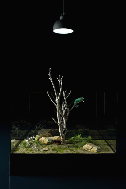 Tank.jpg (855.05 KiB) Viewed 2605 times Tank.jpg