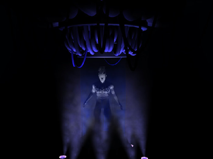 capsule man seidef.jpg
