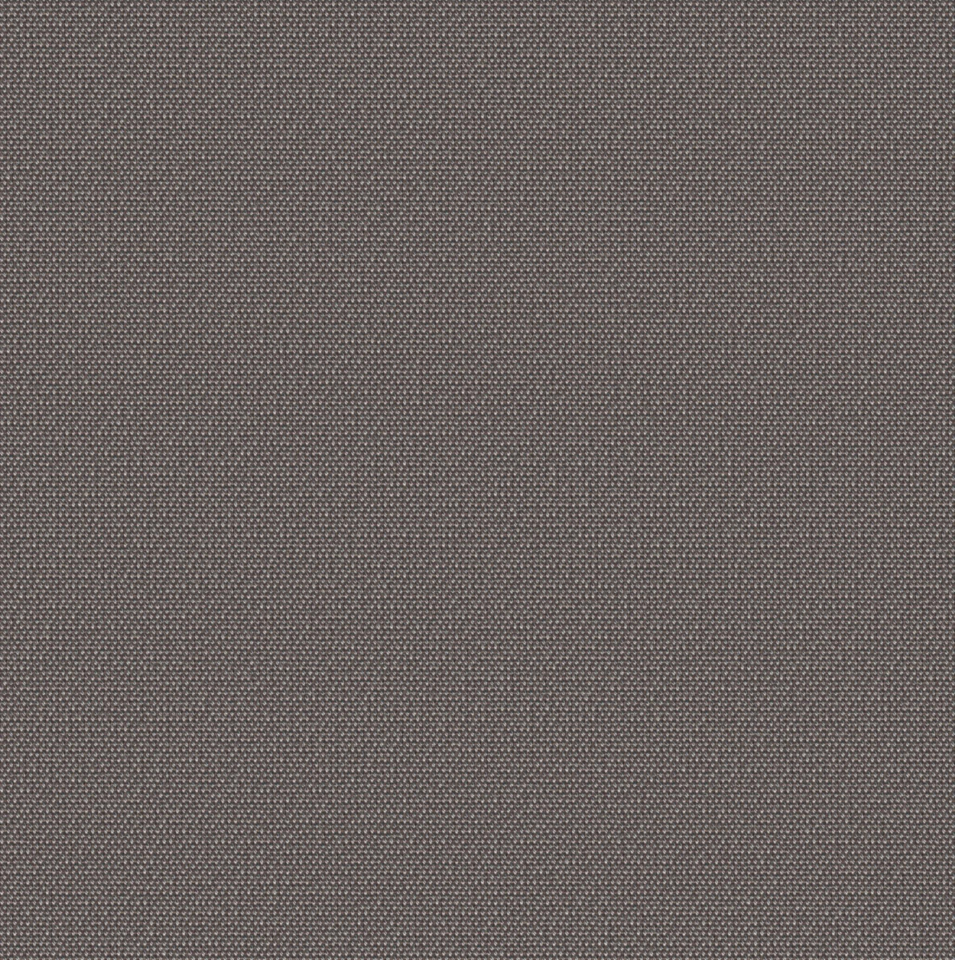 SCAN2_BASE2.jpg