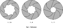 Fig-1 copy.jpg