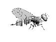 4.jpg (46 KiB) Viewed 826 times 4.jpg