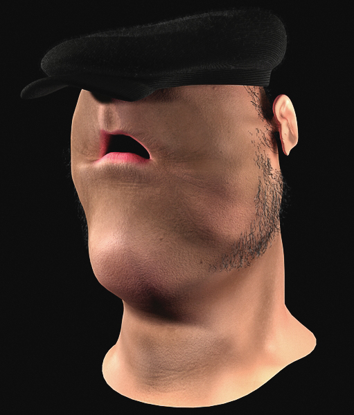 Testa Garza 4.jpg
