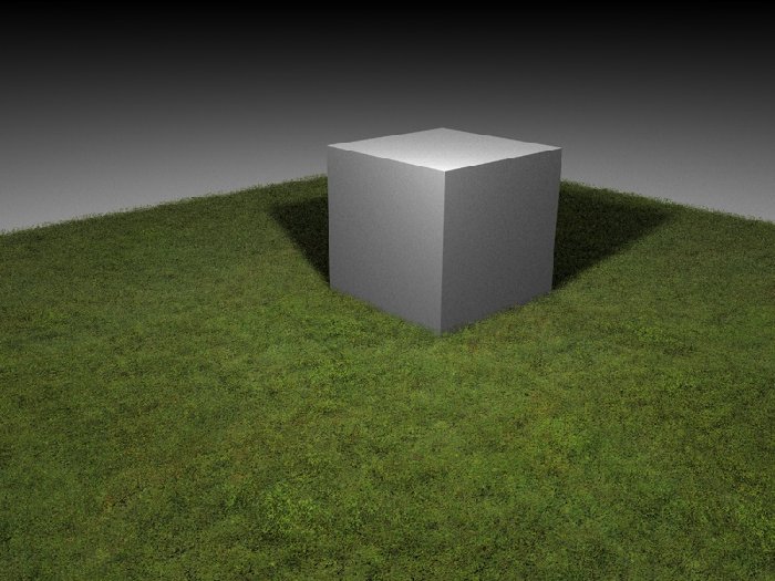 erba 03.jpg