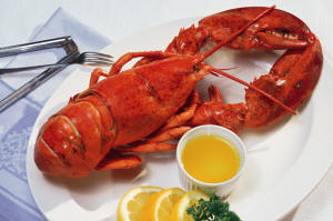 ricette-aragosta.jpg