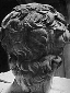 david_back.gif