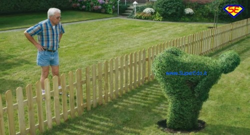 erba_del_vicino.jpg
