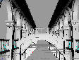 venice.jpg