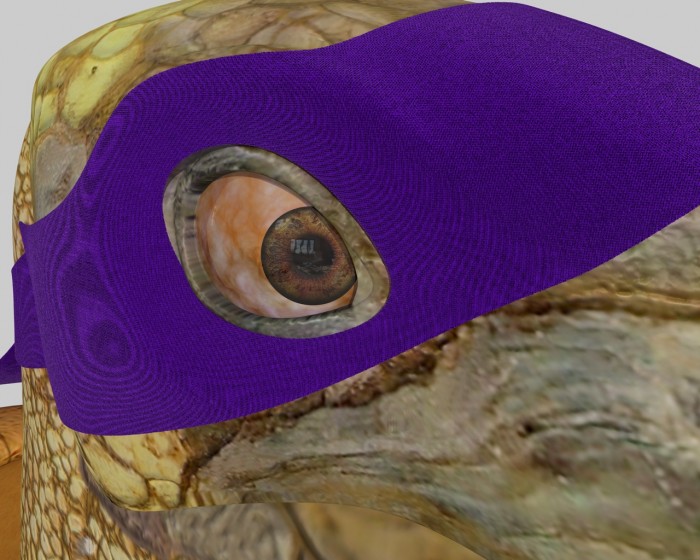 14 disp.jpg