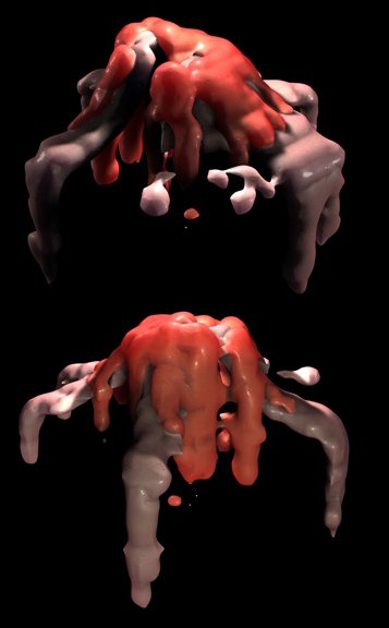 test_cera_particellare_2.jpg